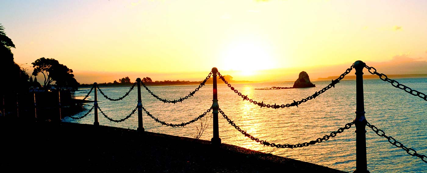 Legacy Planning Nelson Tasman